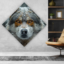 Lade das Bild in den Galerie-Viewer, Leinwandbild Schnee bedeckter Wolf mit intensiven Augen Raute