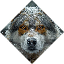 Lade das Bild in den Galerie-Viewer, Leinwandbild Schnee bedeckter Wolf mit intensiven Augen Raute