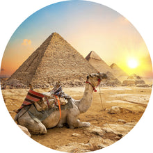 Lade das Bild in den Galerie-Viewer, Aluminiumbild gebürstet Sonnenuntergang über Pyramiden mit ruhendem Kamel Kreis
