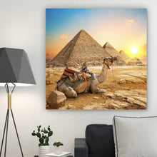 Lade das Bild in den Galerie-Viewer, Spannrahmenbild Sonnenuntergang über Pyramiden mit ruhendem Kamel Quadrat