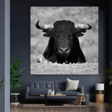 Lade das Bild in den Galerie-Viewer, Leinwandbild Stier Schwarz Weiß Quadrat