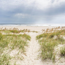 Lade das Bild in den Galerie-Viewer, Aluminiumbild gebürstet Strandweg zwischen Dünen unter wolkigem Himmel Quadrat