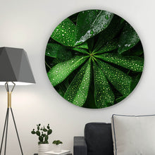 Lade das Bild in den Galerie-Viewer, Aluminiumbild gebürstet Tropische Blätter mit Wassertropfen Kreis