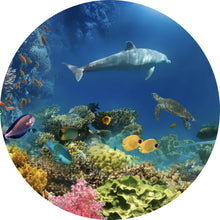 Lade das Bild in den Galerie-Viewer, Aluminiumbild gebürstet Unterwasserwelt voller bunter Fische und Korallen Kreis