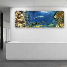 Lade das Bild in den Galerie-Viewer, Aluminiumbild gebürstet Unterwasserwelt voller bunter Fische und Korallen Panorama