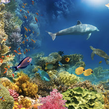 Lade das Bild in den Galerie-Viewer, Aluminiumbild Unterwasserwelt voller bunter Fische und Korallen Quadrat