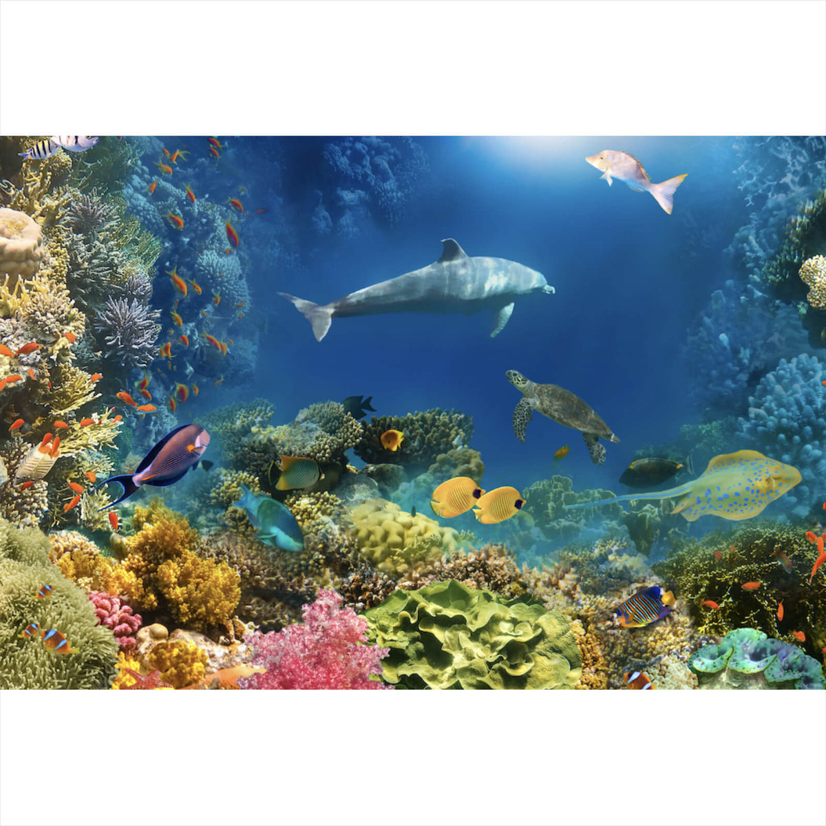 Korallen Unterwasser Stoff Blauer Tropische Fische Stoff Korallen