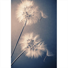 Lade das Bild in den Galerie-Viewer, Aluminiumbild Vintage Pusteblume Hochformat