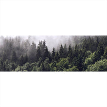 Lade das Bild in den Galerie-Viewer, Aluminiumbild Wald am Morgen Panorama