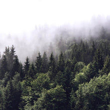 Lade das Bild in den Galerie-Viewer, Aluminiumbild gebürstet Wald am Morgen Quadrat