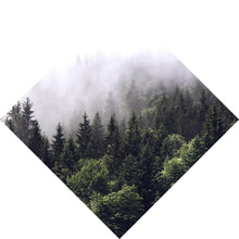Lade das Bild in den Galerie-Viewer, Leinwandbild Wald am Morgen Raute
