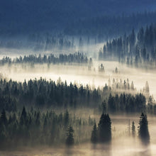 Lade das Bild in den Galerie-Viewer, Spannrahmenbild Wald im Nebel Quadrat