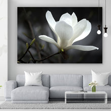 Lade das Bild in den Galerie-Viewer, Acrylglasbild Weiße Magnolie Querformat
