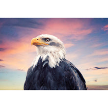 Lade das Bild in den Galerie-Viewer, Poster Weißkopf Seeadler Querformat