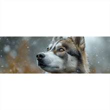 Lade das Bild in den Galerie-Viewer, Aluminiumbild Wolf schaut aufmerksam im winterlichen Schneefall Panorama