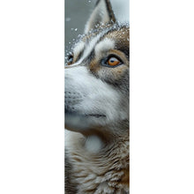 Lade das Bild in den Galerie-Viewer, Acrylglasbild Wolf schaut aufmerksam im winterlichen Schneefall Panorama Hoch