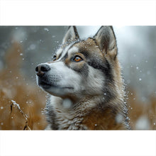 Lade das Bild in den Galerie-Viewer, Leinwandbild Wolf schaut aufmerksam im winterlichen Schneefall Querformat