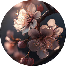 Lade das Bild in den Galerie-Viewer, Aluminiumbild gebürstet Zarte Kirschblüten im sanften Sonnenlicht leuchten prachtvoll Kreis