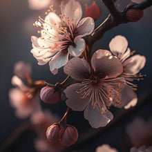 Lade das Bild in den Galerie-Viewer, Aluminiumbild Zarte Kirschblüten im sanften Sonnenlicht leuchten prachtvoll Quadrat