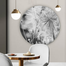 Lade das Bild in den Galerie-Viewer, Aluminiumbild Zarte Pusteblume in schwarz weiß Kreis