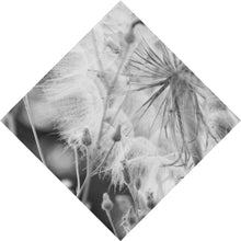 Lade das Bild in den Galerie-Viewer, Spannrahmenbild Zarte Pusteblume in schwarz weiß Raute