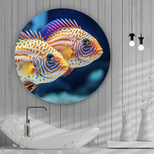 Lade das Bild in den Galerie-Viewer, Aluminiumbild Zwei bunte Fische im klaren Wasser Kreis