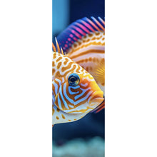 Lade das Bild in den Galerie-Viewer, Aluminiumbild Zwei bunte Fische im klaren Wasser Panorama Hoch