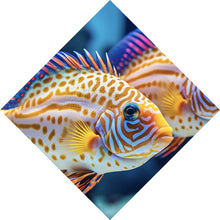 Lade das Bild in den Galerie-Viewer, Spannrahmenbild Zwei bunte Fische im klaren Wasser Raute