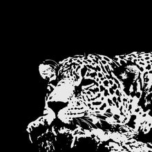 Lade das Bild in den Galerie-Viewer, Aluminiumbild gebürstet Leopard in Schwarz Weiß Quadrat