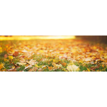 Lade das Bild in den Galerie-Viewer, Aluminiumbild gebürstet Herbstblätter im sonnigen Morgenlicht Panorama