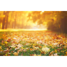 Lade das Bild in den Galerie-Viewer, Poster Herbstblätter im sonnigen Morgenlicht Querformat
