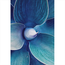 Lade das Bild in den Galerie-Viewer, Spannrahmenbild Abstrakte Agave Hochformat