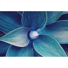 Lade das Bild in den Galerie-Viewer, Acrylglasbild Abstrakte Agave Querformat