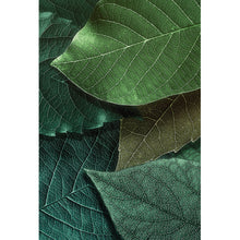 Lade das Bild in den Galerie-Viewer, Poster Green Leafs Hochformat