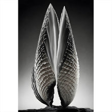 Lade das Bild in den Galerie-Viewer, Spannrahmenbild Abstrakte Skulptur geöffnete Muschel Hochformat