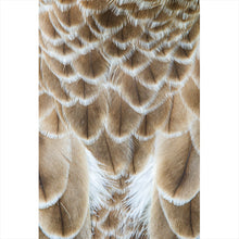 Lade das Bild in den Galerie-Viewer, Poster Adler Federn Hochformat