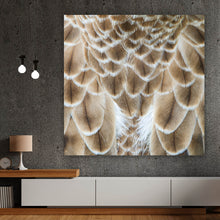 Lade das Bild in den Galerie-Viewer, Poster Adler Federn Quadrat
