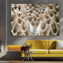 Lade das Bild in den Galerie-Viewer, Poster Adler Federn Querformat