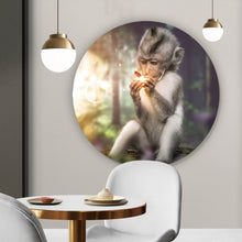 Lade das Bild in den Galerie-Viewer, Aluminiumbild Affe mit Schmetterling Kreis