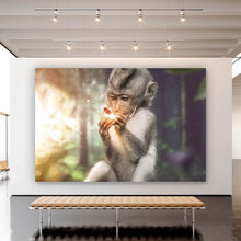 Lade das Bild in den Galerie-Viewer, Spannrahmenbild Affe mit Schmetterling Querformat
