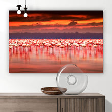 Lade das Bild in den Galerie-Viewer, Spannrahmenbild Afrikanische Flamingos im See Querformat