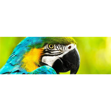 Lade das Bild in den Galerie-Viewer, Leinwandbild Afrikanischer Papagei Panorama