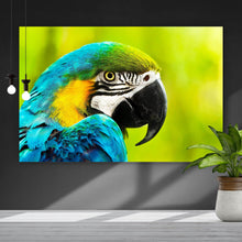 Lade das Bild in den Galerie-Viewer, Aluminiumbild Afrikanischer Papagei Querformat