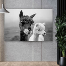 Lade das Bild in den Galerie-Viewer, Poster Alpaka Paar Schwarz Weiß Querformat