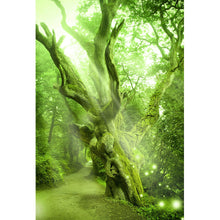 Lade das Bild in den Galerie-Viewer, Poster Alter Baum Hochformat
