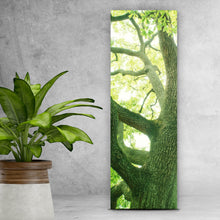 Lade das Bild in den Galerie-Viewer, Spannrahmenbild Alter Baum im Wald Panorama Hoch