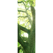 Lade das Bild in den Galerie-Viewer, Spannrahmenbild Alter Baum im Wald Panorama Hoch