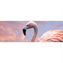 Lade das Bild in den Galerie-Viewer, Leinwandbild Amerikanischer Flamingo Panorama