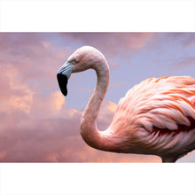 Lade das Bild in den Galerie-Viewer, Leinwandbild Amerikanischer Flamingo Querformat
