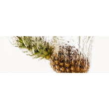 Lade das Bild in den Galerie-Viewer, Poster Ananas im Wasser Panorama
